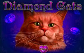 Diamond Cats