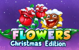 Flowers Christmas Edition